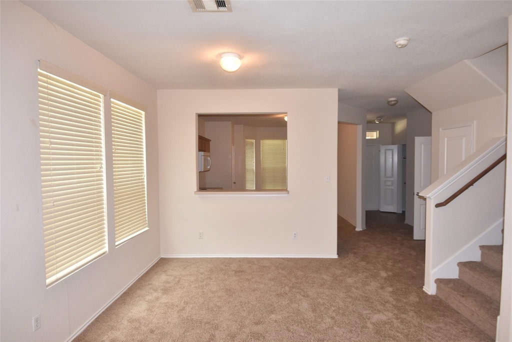 16807 Mammoth Springs Dr - Photo 28