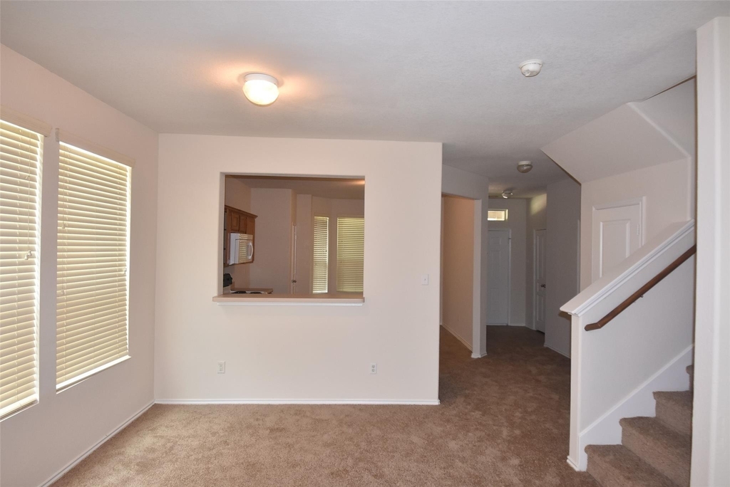 16807 Mammoth Springs Dr - Photo 17