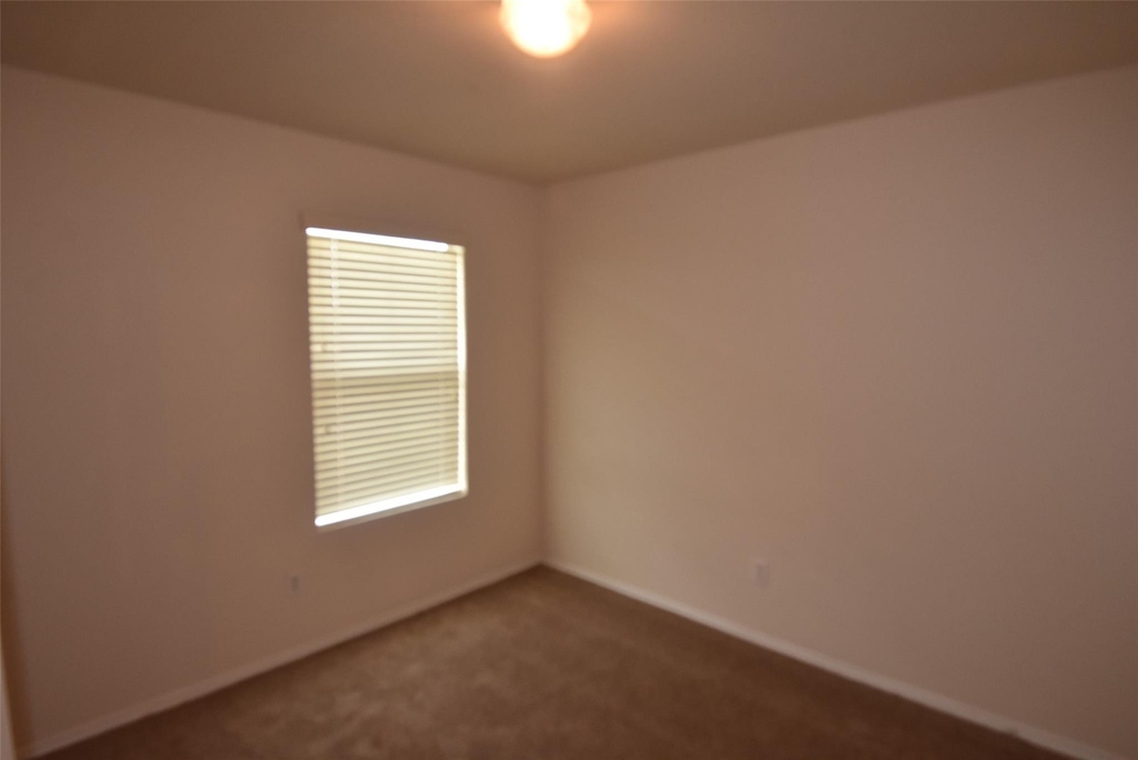 16807 Mammoth Springs Dr - Photo 14