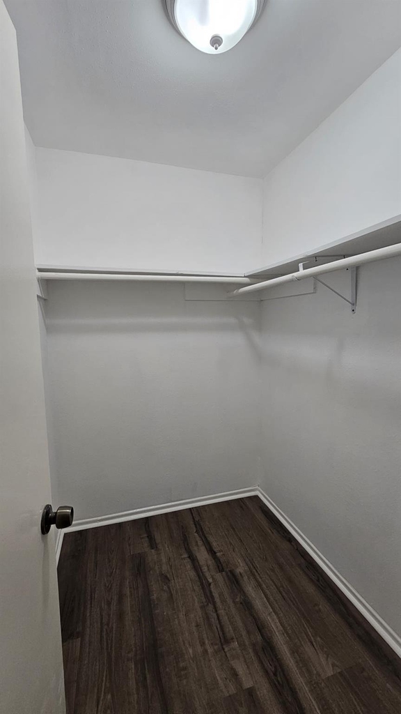 10303 Old Towne Lane - Photo 16
