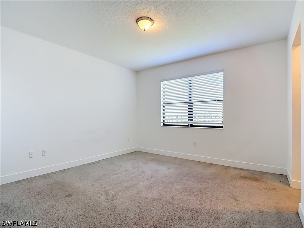 5669 Cerva Lane - Photo 10