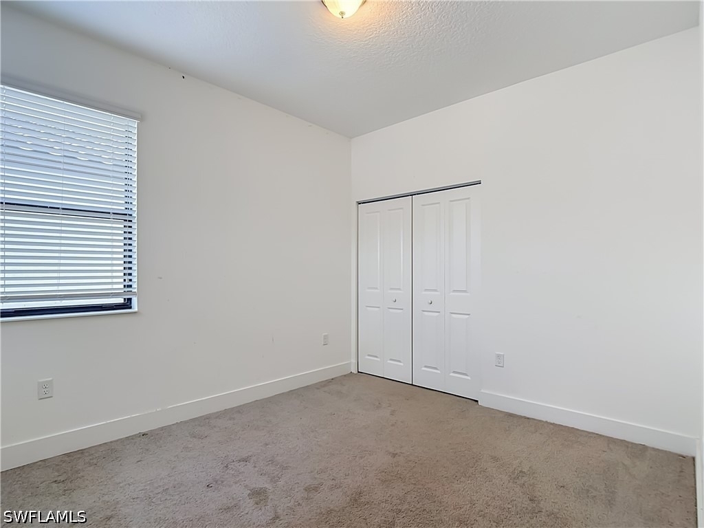 5669 Cerva Lane - Photo 9