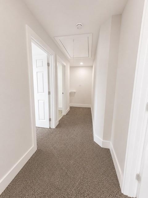 11514 Courtshire Road - Photo 11