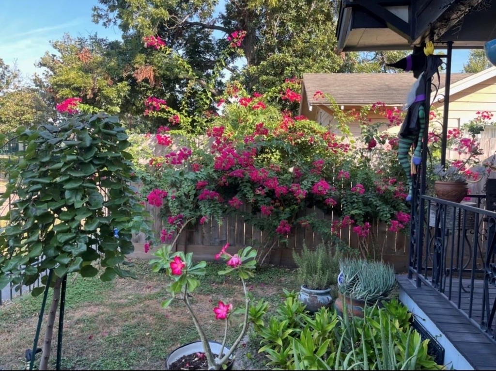 610 Northwood Street - Photo 4