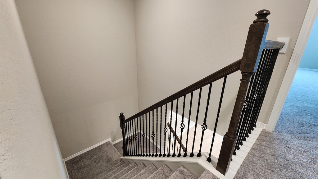 8009 Scanlan Trail - Photo 8