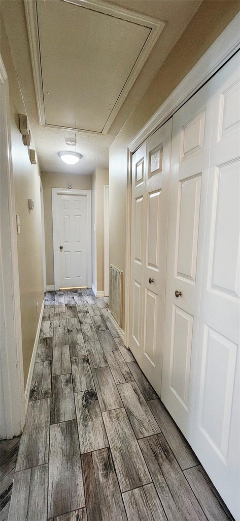 213 Mango Street - Photo 17