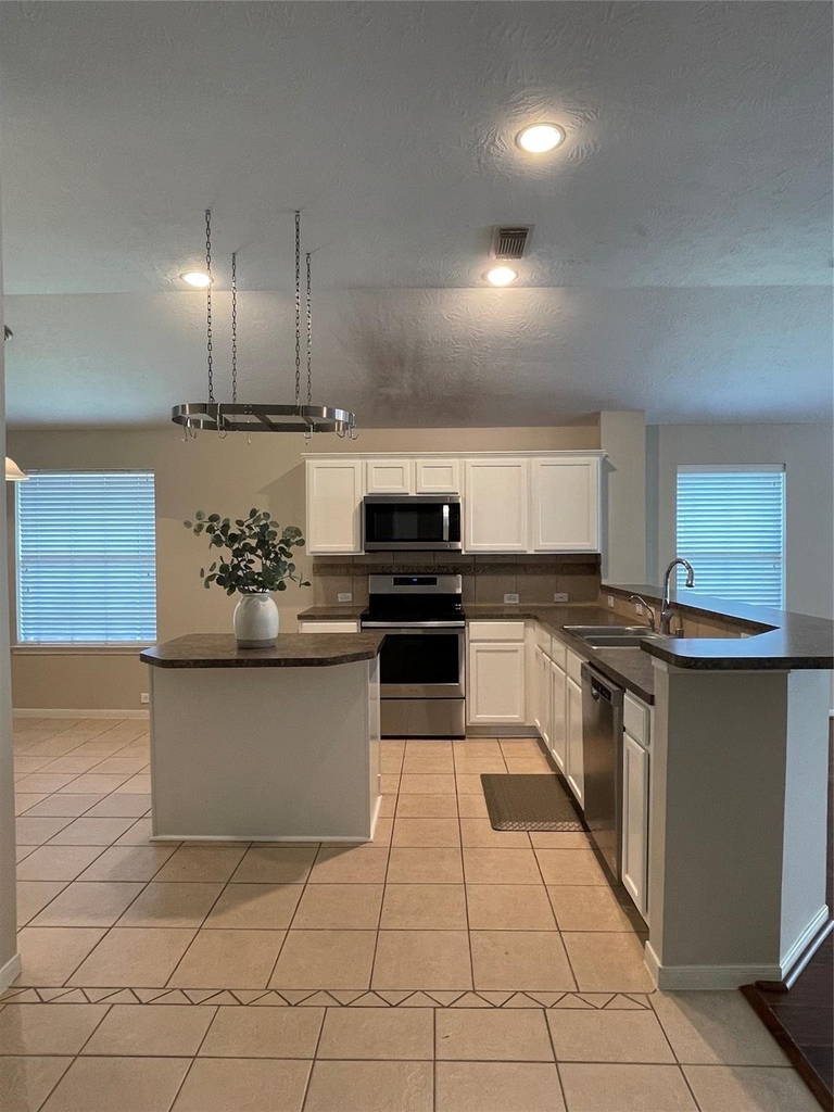 21719 Orange Maple Court - Photo 2