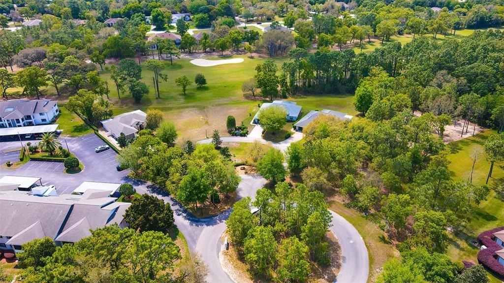 12 Anton Court - Photo 34