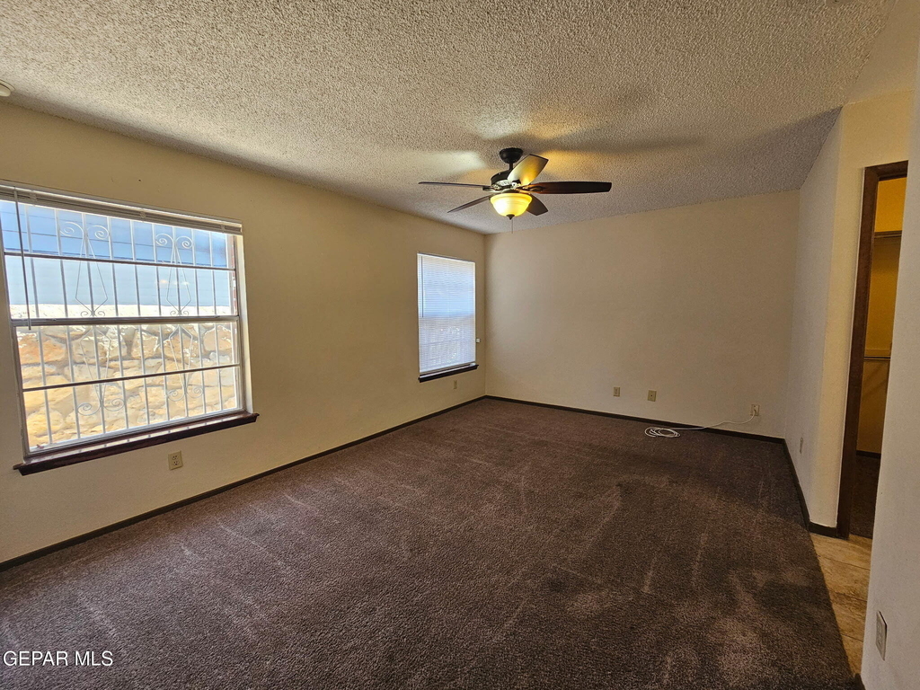 10604 Pleasant Hills Drive - Photo 9