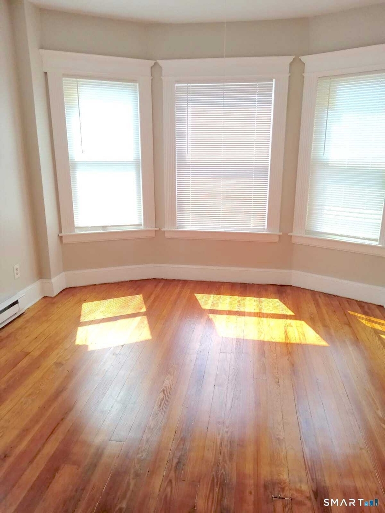 121 Lounsbury Street - Photo 3