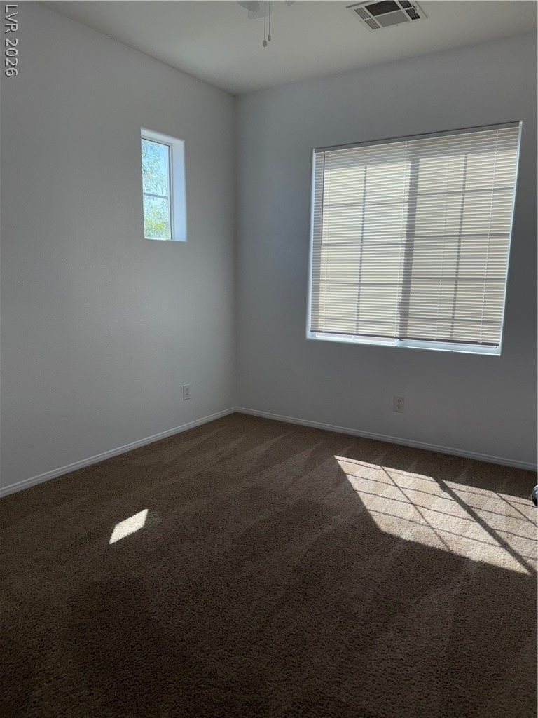10519 Allegrini Drive - Photo 15