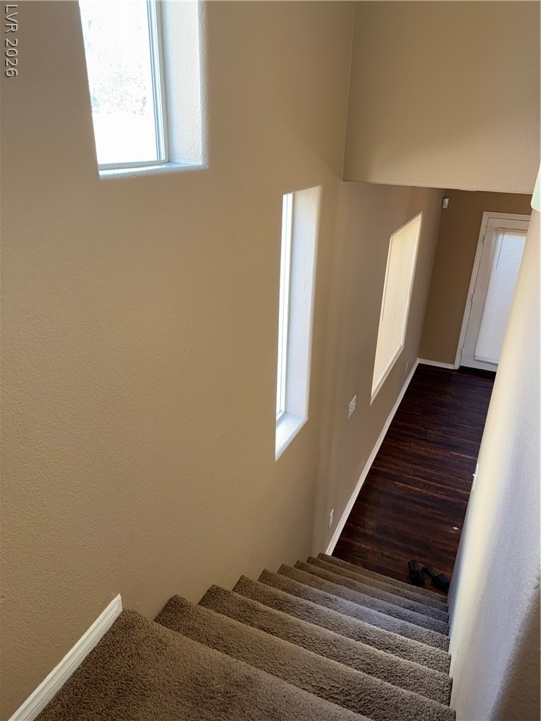 10519 Allegrini Drive - Photo 7