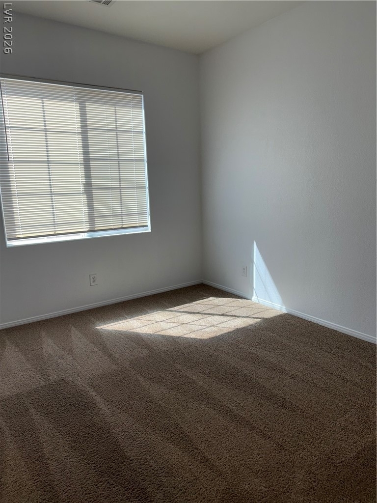 10519 Allegrini Drive - Photo 13