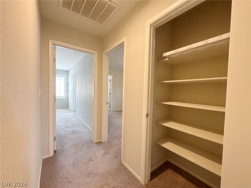 6132 Scarlet Leaf Street - Photo 32
