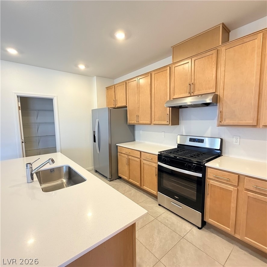 4256 Scarlet Cob Avenue - Photo 9