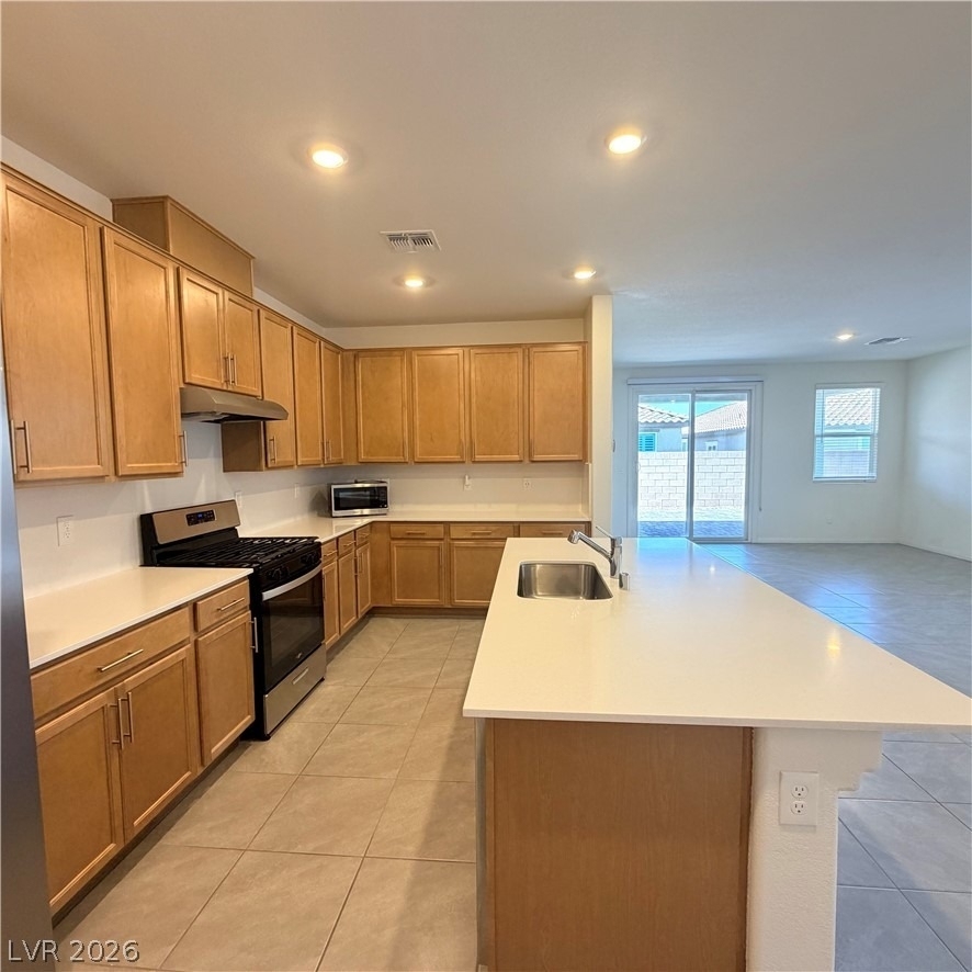 4256 Scarlet Cob Avenue - Photo 7