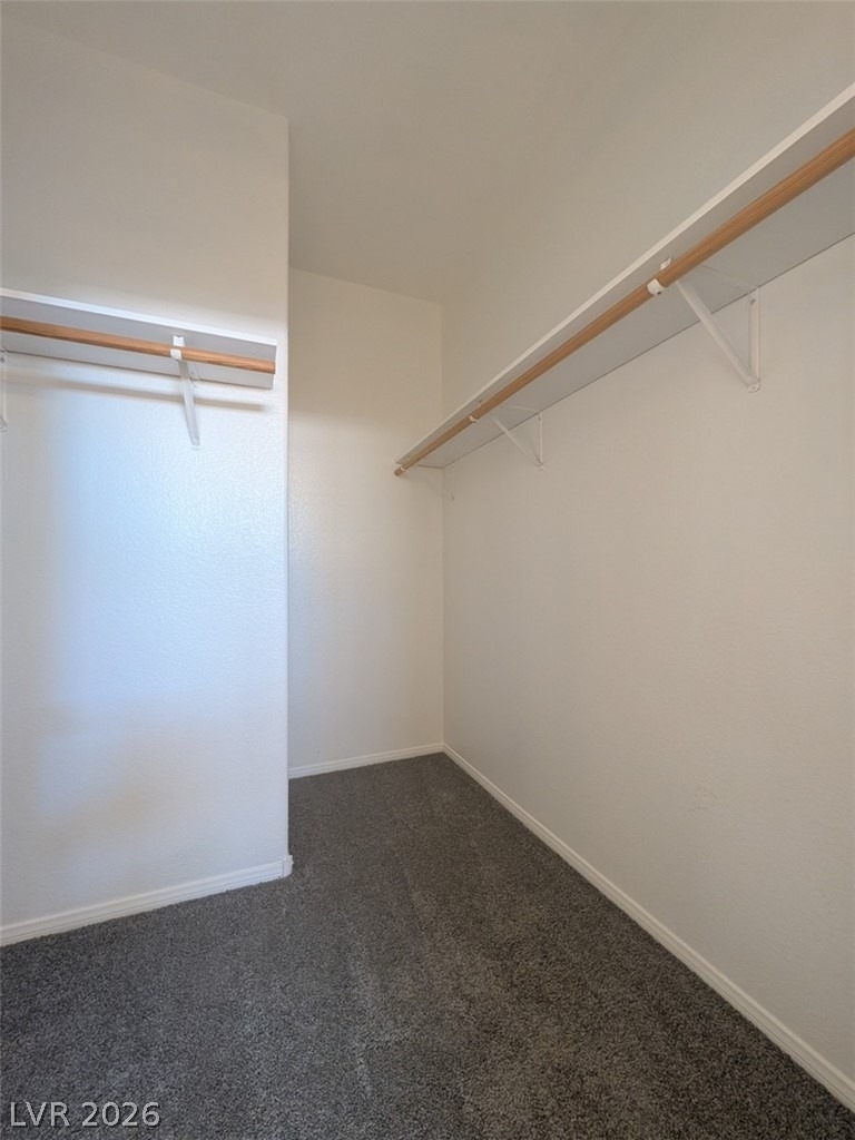 9332 Daffodil Sun Avenue - Photo 13