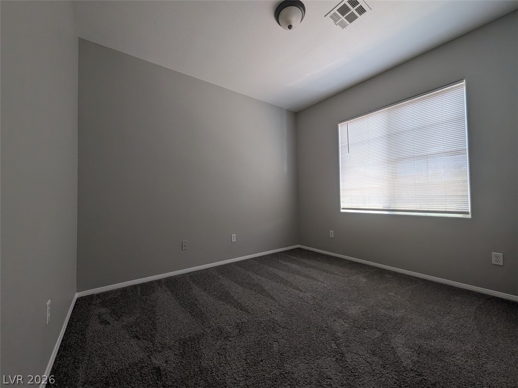 9332 Daffodil Sun Avenue - Photo 19