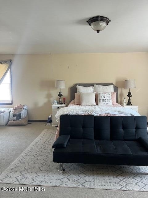 319 Roosevelt Avenue - Photo 8