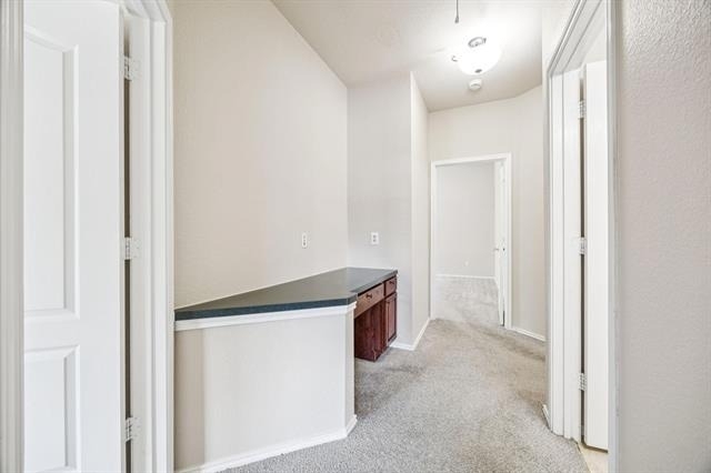 1207 Cedar Springs Drive - Photo 10