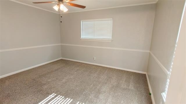 4800 Sabelle Lane - Photo 7