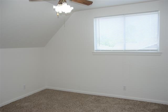 3520 Sunnydale Lane - Photo 7