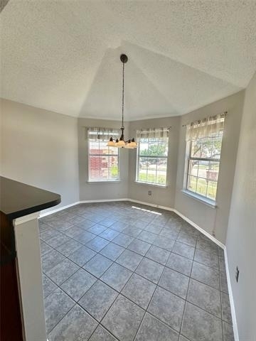 4905 Spur Ridge Court - Photo 7
