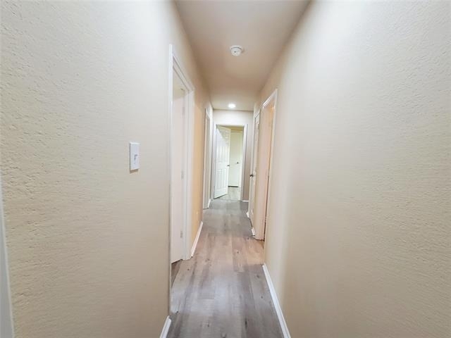 10032 Daly Drive - Photo 11