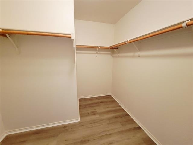 10032 Daly Drive - Photo 19