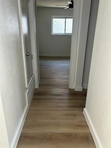 813 Panay Way Drive - Photo 10