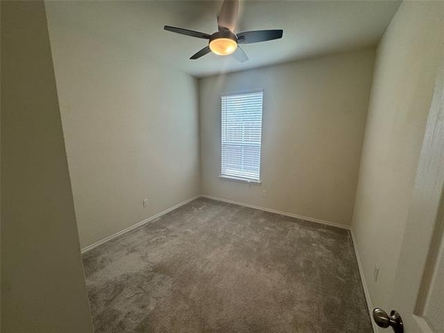 8132 Cedar Lake Lane - Photo 15