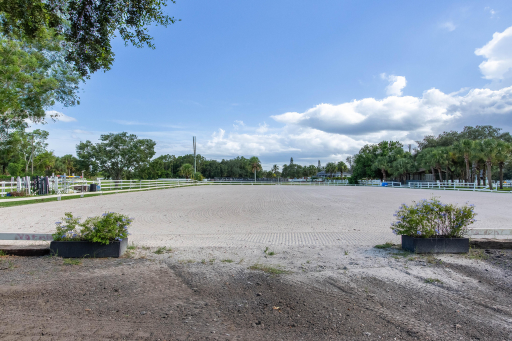 844 Arabian Drive - Photo 4