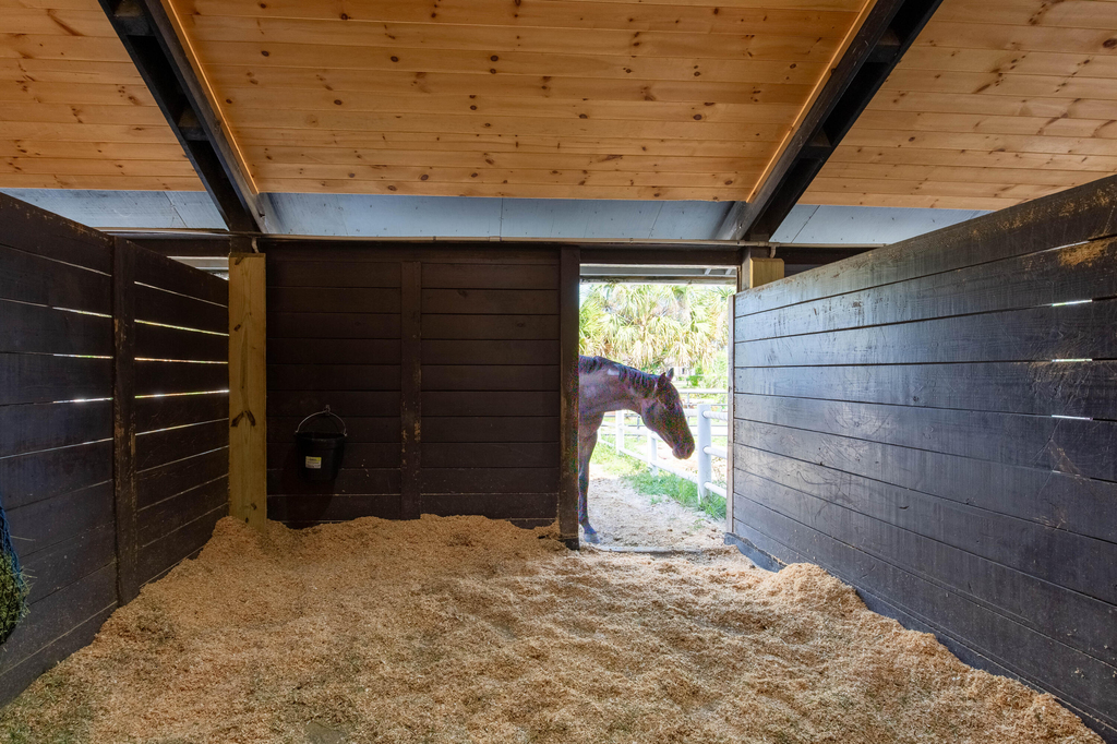 844 Arabian Drive - Photo 18
