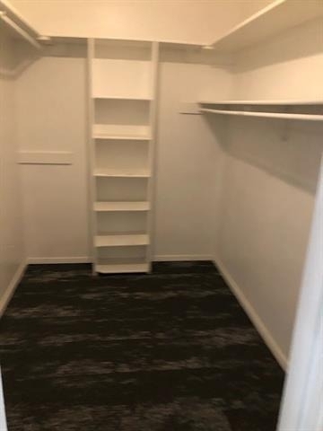 613 Trail View Lane - Photo 19