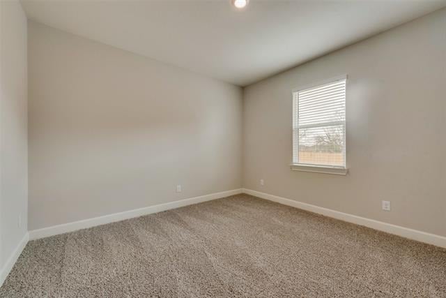 800 Jackel Drive - Photo 11