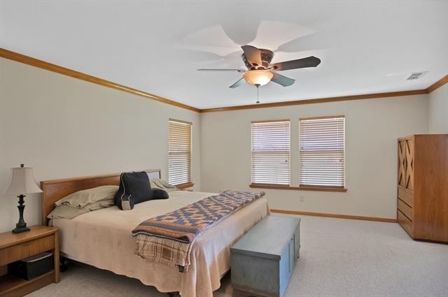 14301 County Road 511 - Photo 24