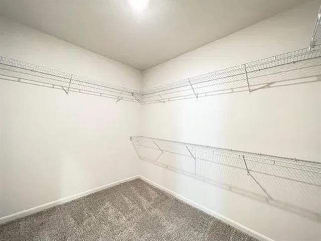 1702 Sandalwood Way - Photo 6