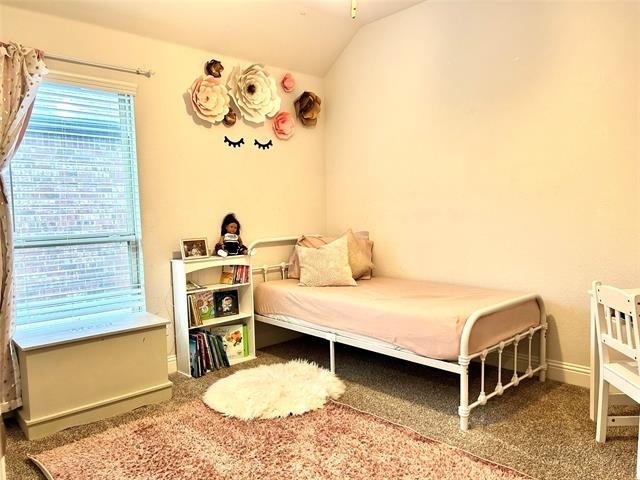 11117 Blaze Street - Photo 7