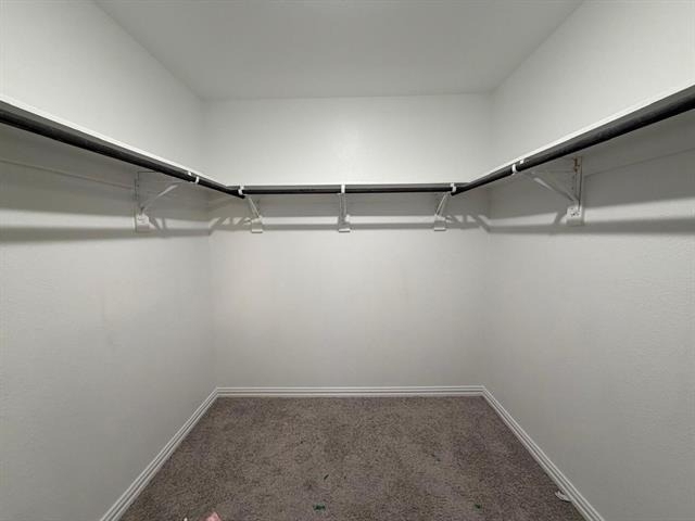 2940 Bluets Drive - Photo 14