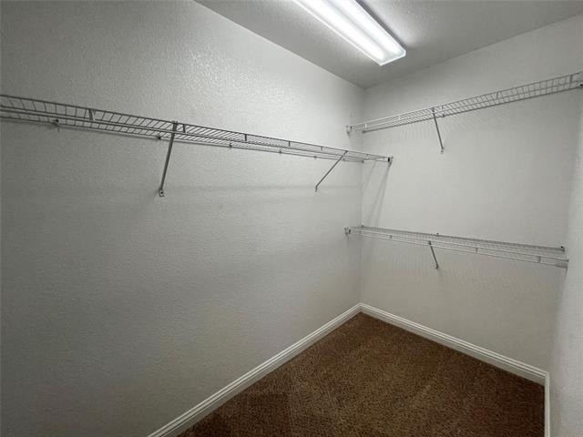3133 Weave Court - Photo 5