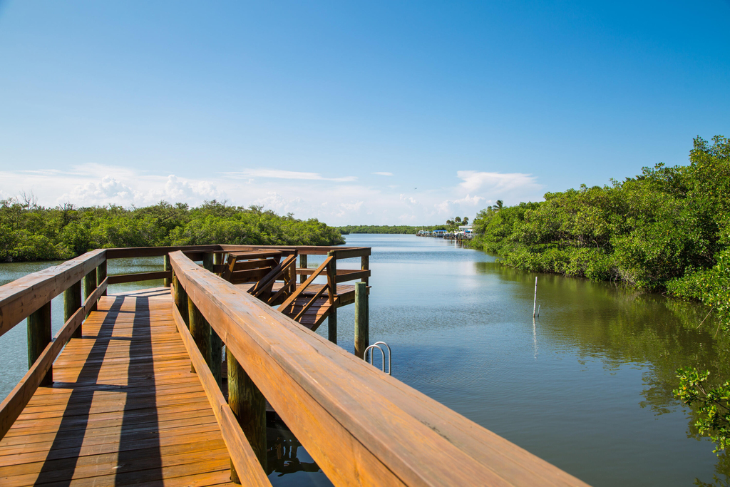 5061 N Highway A1a - Photo 22