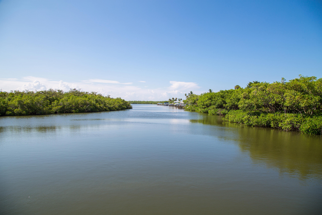 5061 N Highway A1a - Photo 23