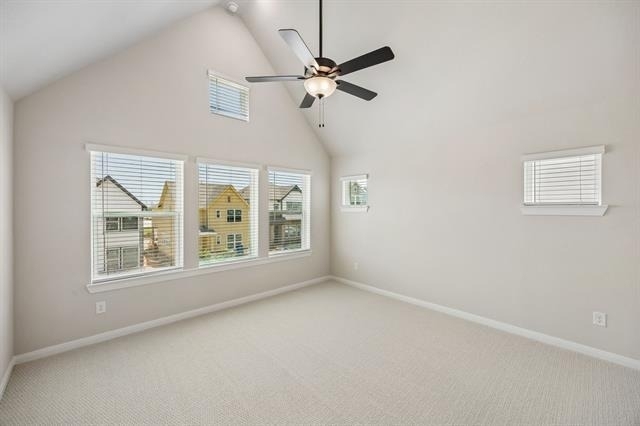 4816 Maxwell Drive - Photo 19