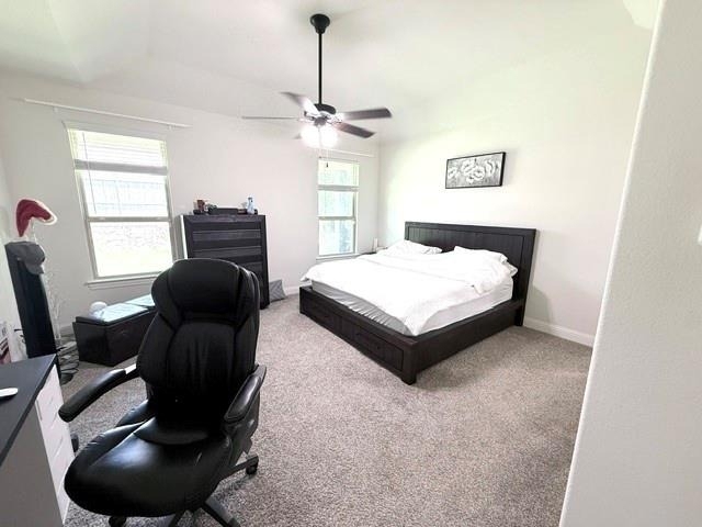 10936 Big Spring Trail - Photo 13
