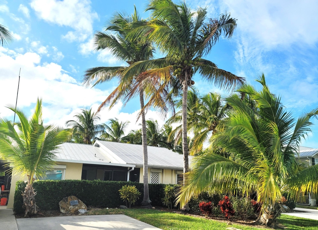 1903 Robalo Drive - Photo 13