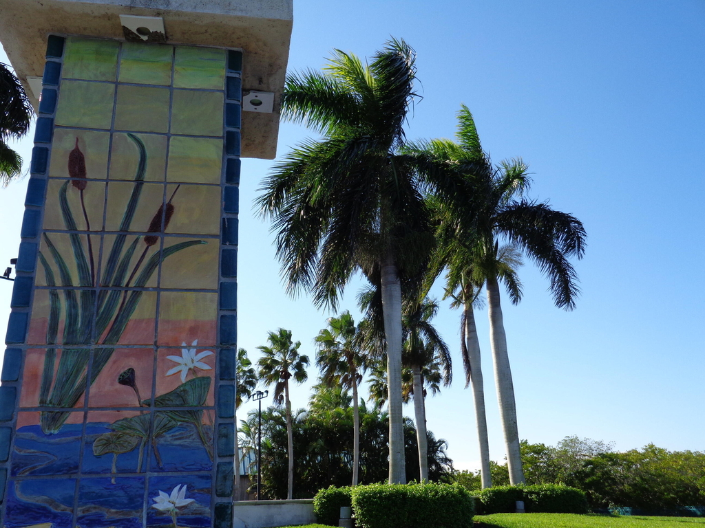 1903 Robalo Drive - Photo 19