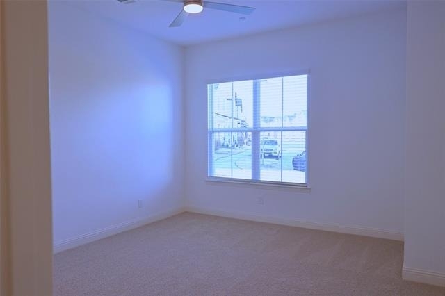 1009 Rockrose Drive - Photo 8