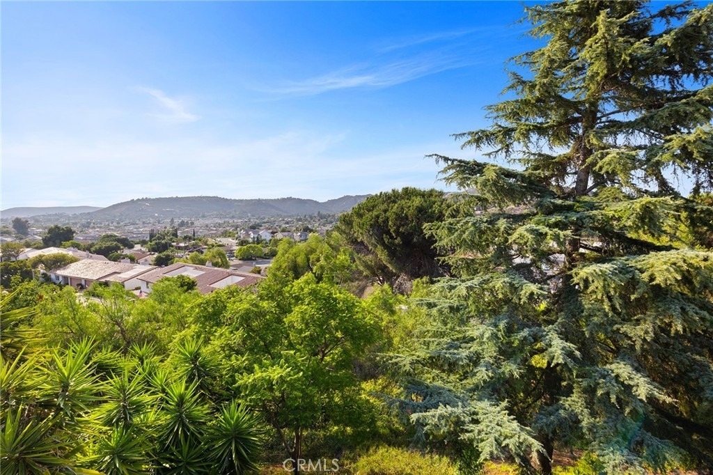 1232 La Paloma Glen - Photo 35