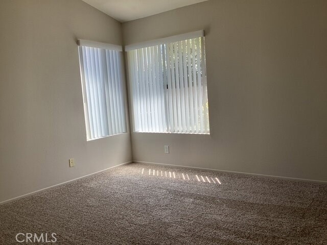 3716 Vireo Drive - Photo 12