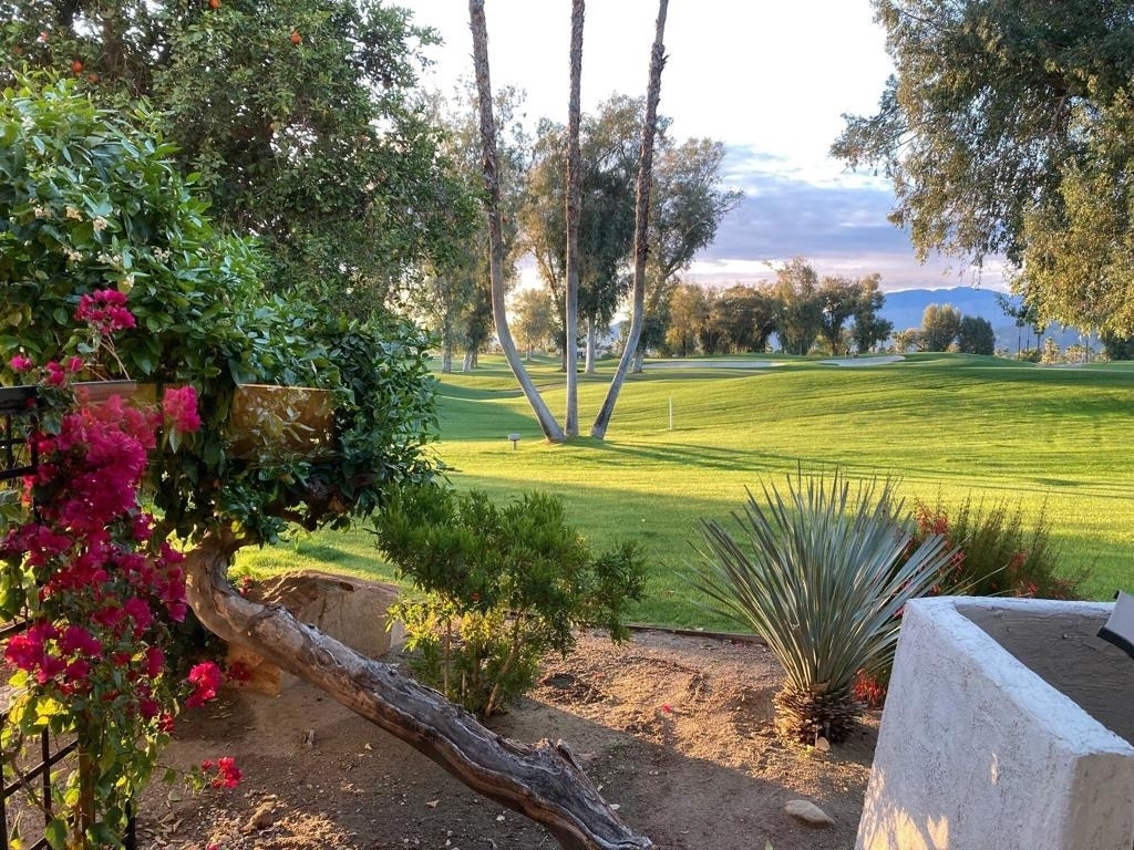 35050 Mission Hills Drive - Photo 9